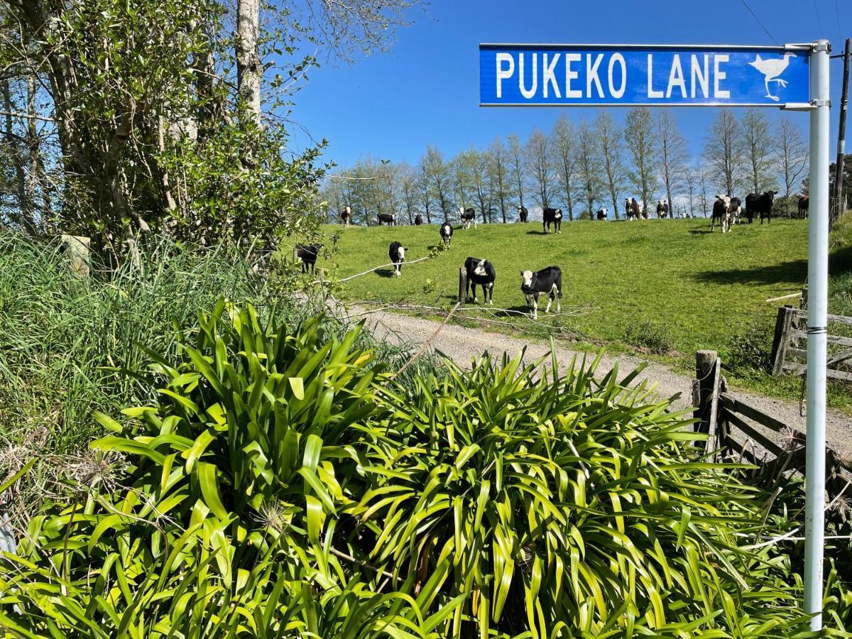 Pukeko Lane Apartment Tauranga Exterior foto